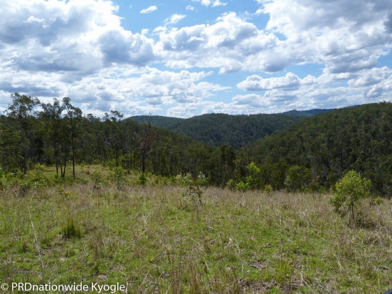 4194 Paddys Flat Road, Tooloom NSW 2475