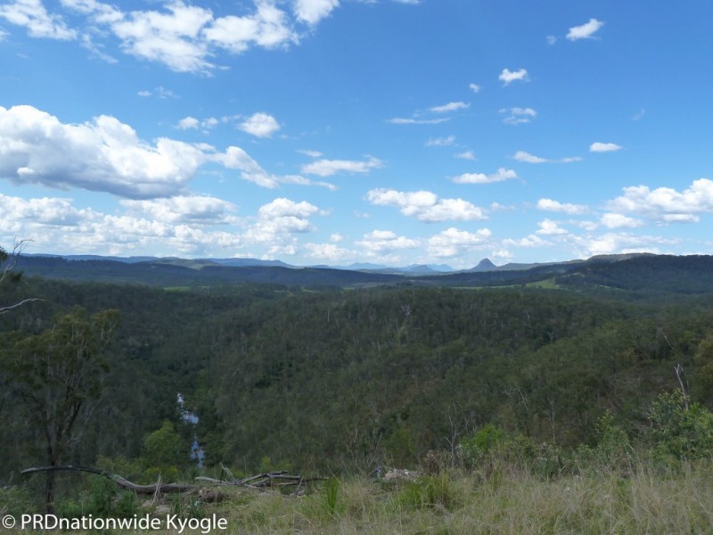 4194 Paddys Flat Road, Tooloom NSW 2475