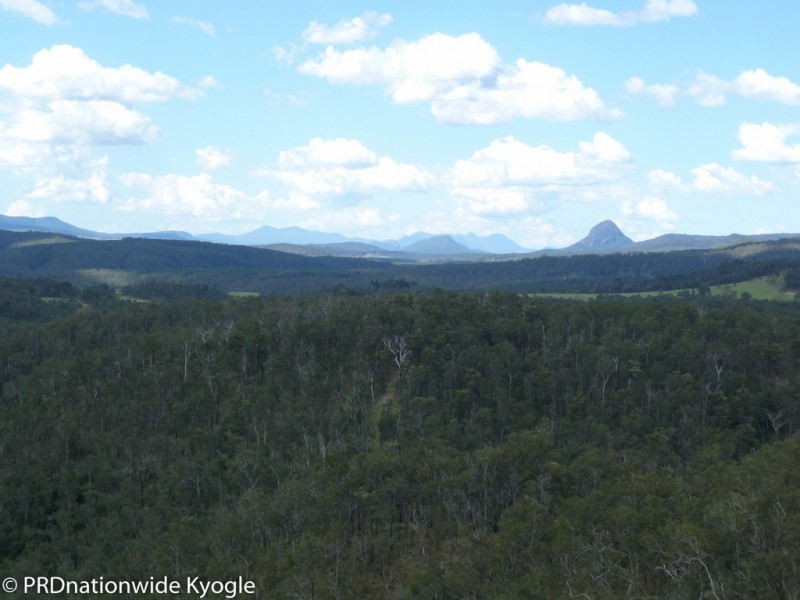 4194 Paddys Flat Road, Tooloom NSW 2475