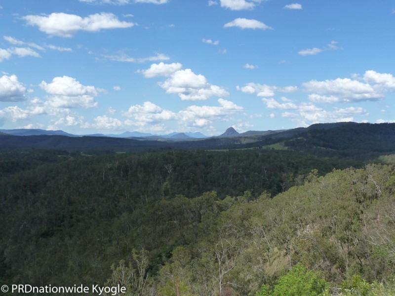 4194 Paddys Flat Road, Tooloom NSW 2475