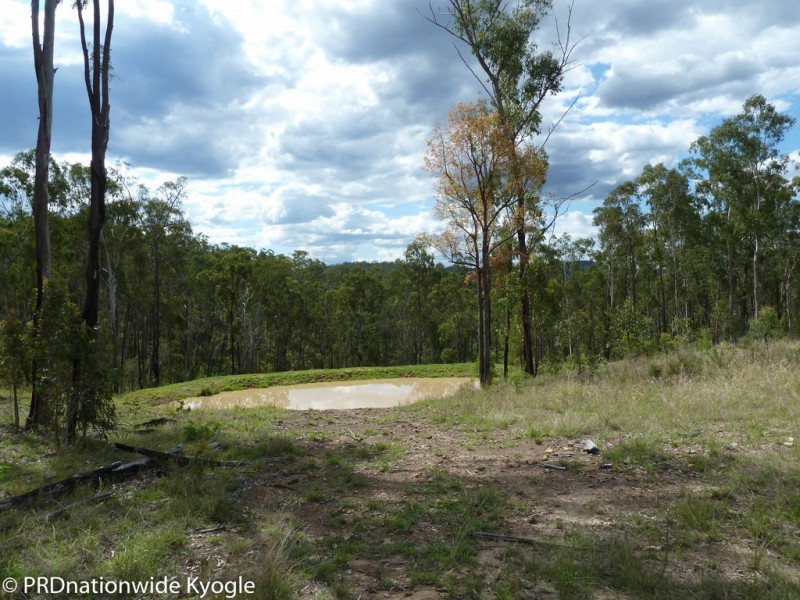 4194 Paddys Flat Road, Tooloom NSW 2475
