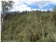 4194 Paddys Flat Road, Tooloom NSW 2475