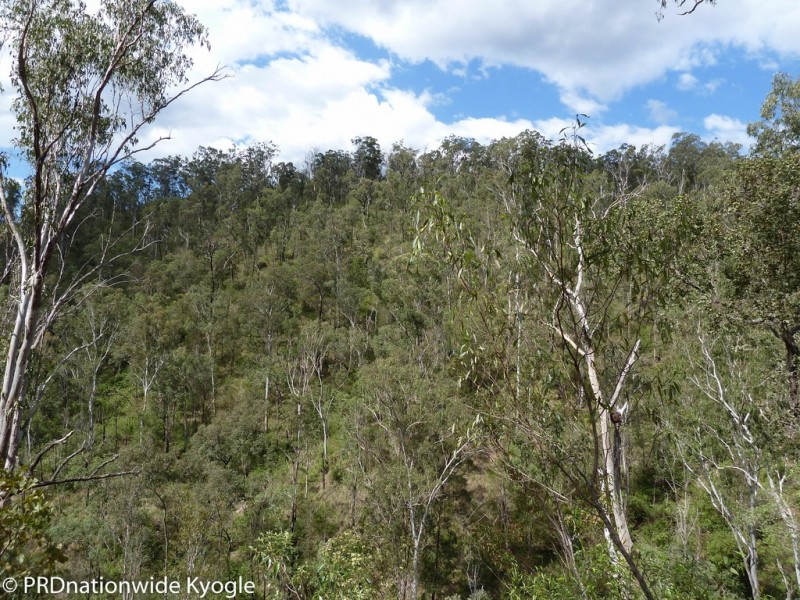 4194 Paddys Flat Road, Tooloom NSW 2475