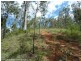 4194 Paddys Flat Road, Tooloom NSW 2475