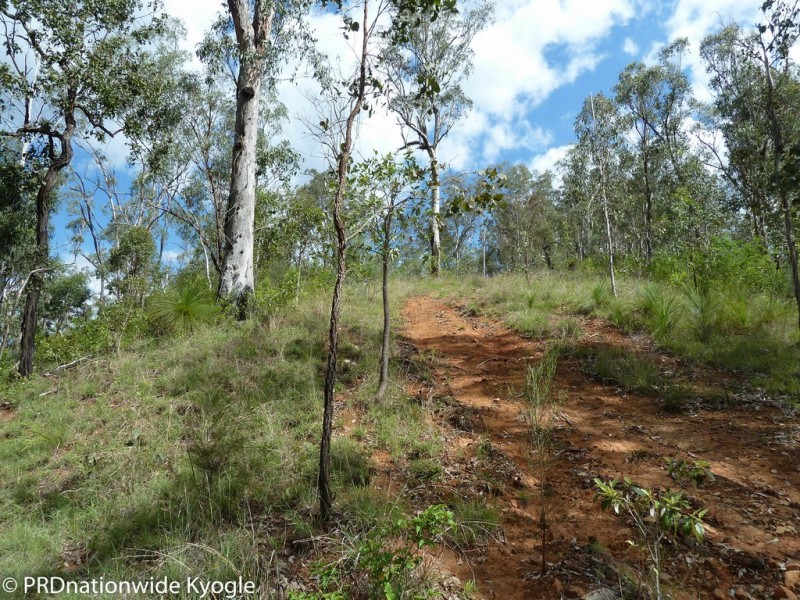 4194 Paddys Flat Road, Tooloom NSW 2475