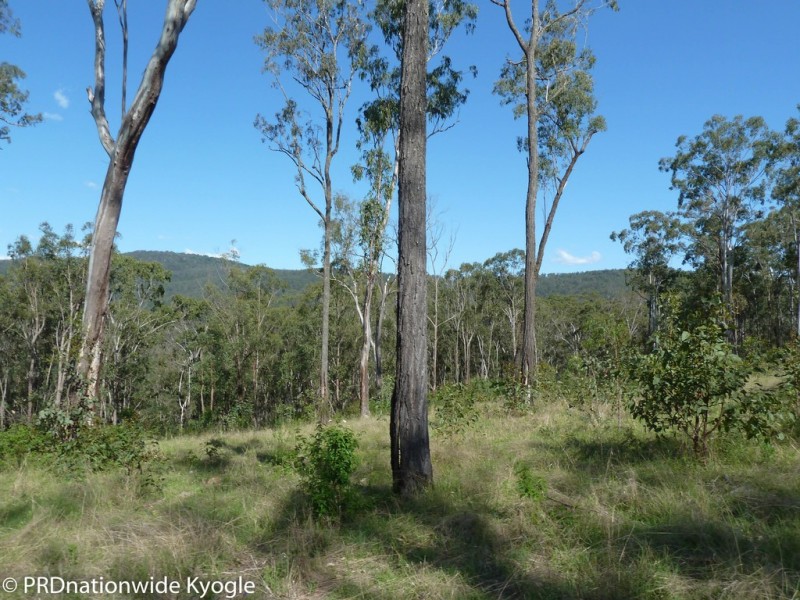 4194 Paddys Flat Road, Tooloom NSW 2475