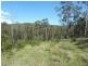 4194 Paddys Flat Road, Tooloom NSW 2475