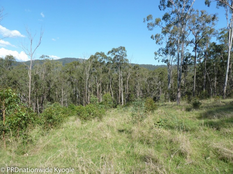 4194 Paddys Flat Road, Tooloom NSW 2475