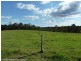 4194 Paddys Flat Road, Tooloom NSW 2475