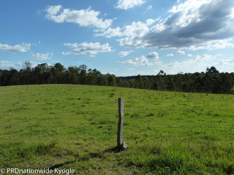 4194 Paddys Flat Road, Tooloom NSW 2475