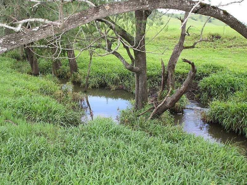 197 Ettrick Road, Kyogle NSW 2474