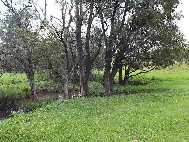 197 Ettrick Road, Kyogle NSW 2474