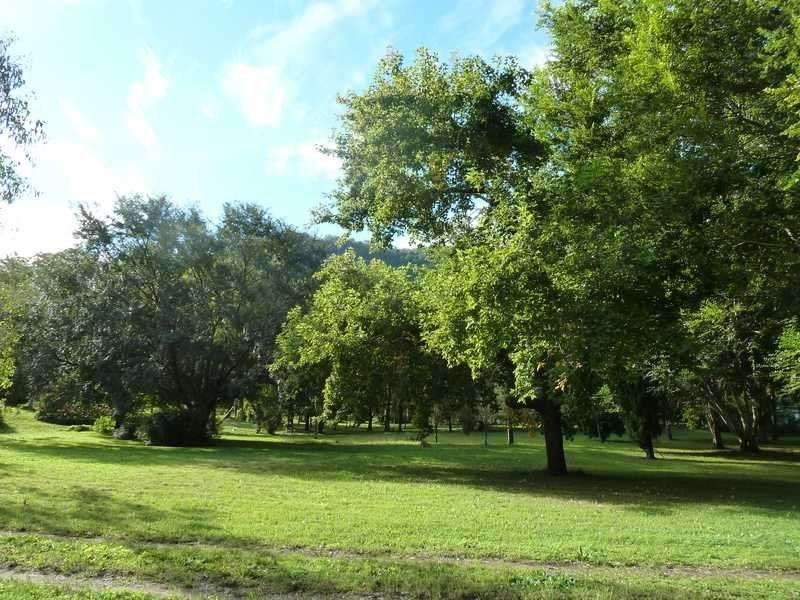 40 Levers Road, Kyogle NSW 2474