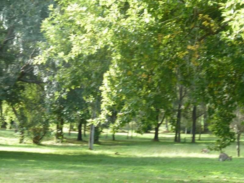 40 Levers Road, Kyogle NSW 2474