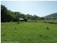 2163 Summerland Way, Roseberry, Kyogle NSW 2474
