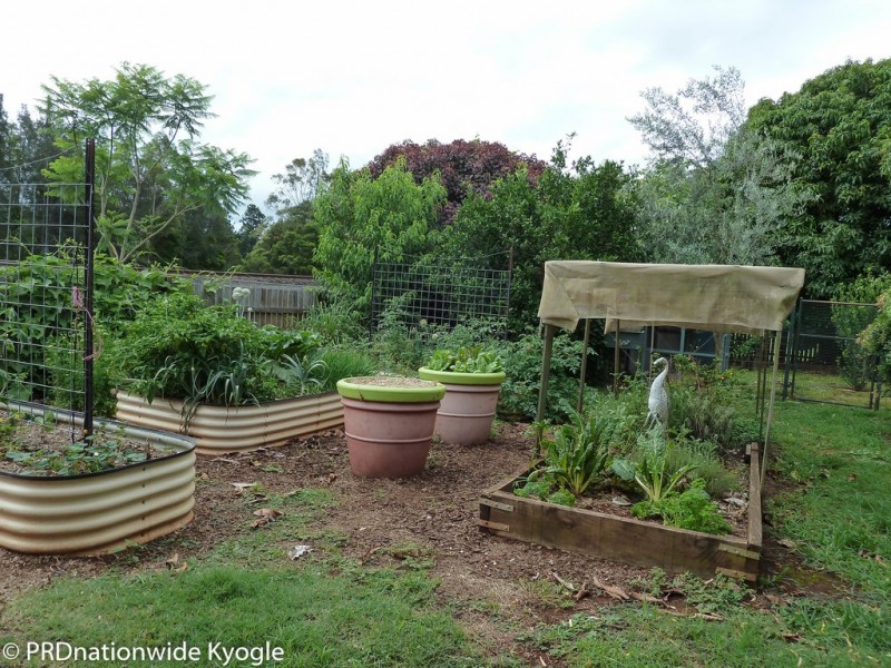 52 Ettrick Street, Kyogle NSW 2474