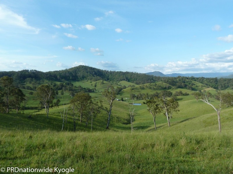 109 Applegum Road, West Wiangaree, Kyogle NSW 2474