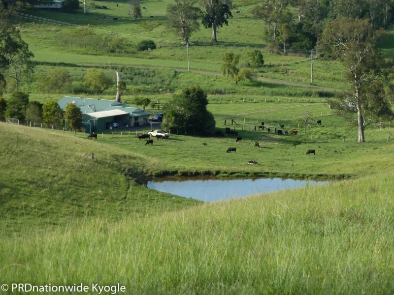 109 Applegum Road, West Wiangaree, Kyogle NSW 2474