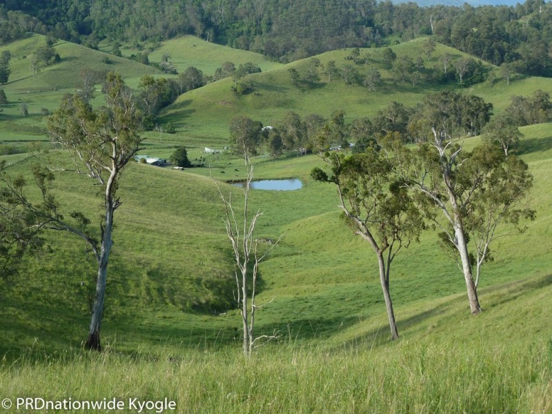 109 Applegum Road, West Wiangaree, Kyogle NSW 2474