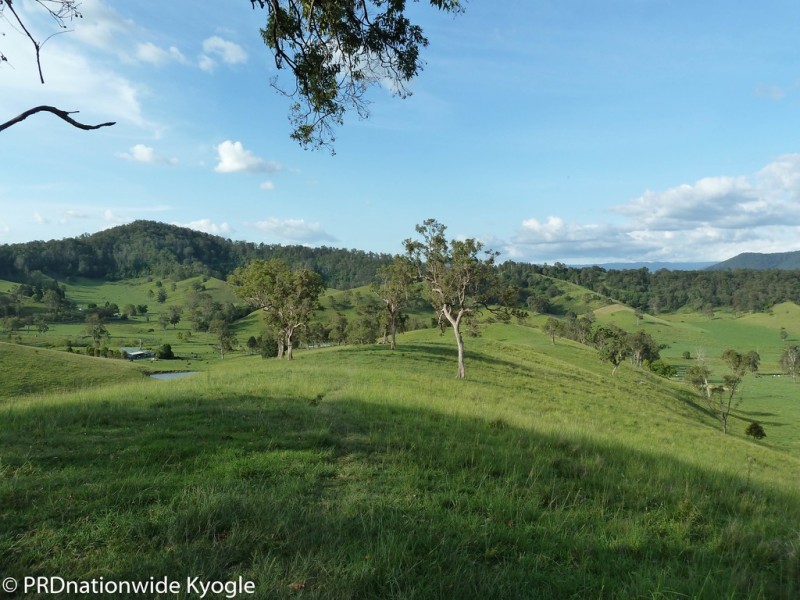 109 Applegum Road, West Wiangaree, Kyogle NSW 2474