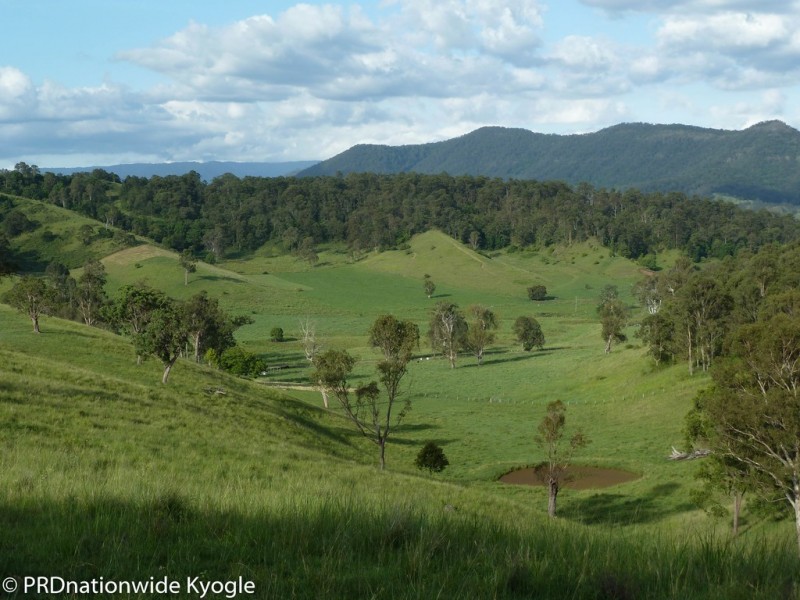 109 Applegum Road, West Wiangaree, Kyogle NSW 2474