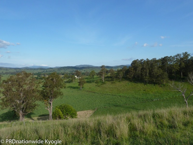 109 Applegum Road, West Wiangaree, Kyogle NSW 2474