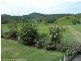 109 Applegum Road, West Wiangaree, Kyogle NSW 2474