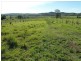 390 Fawcetts Plains Road, Kyogle NSW 2474