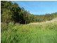 390 Fawcetts Plains Road, Kyogle NSW 2474