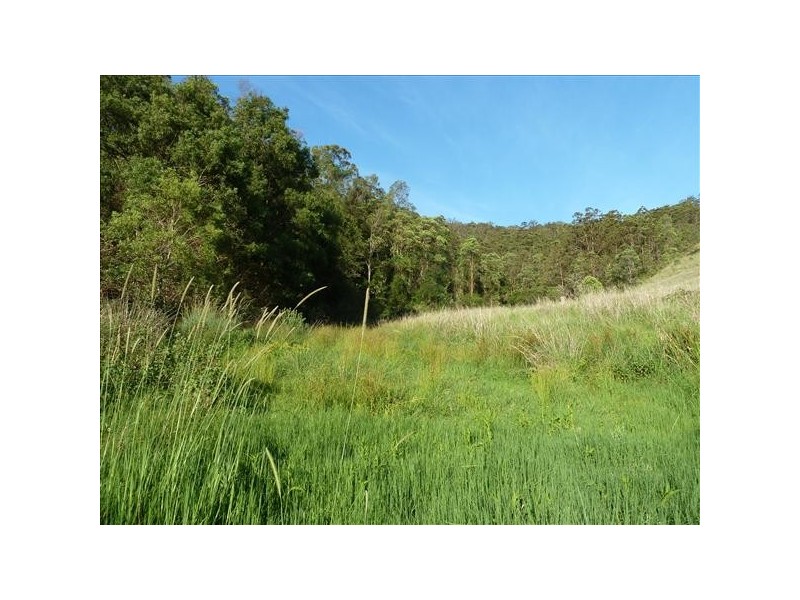 390 Fawcetts Plains Road, Kyogle NSW 2474