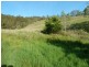 390 Fawcetts Plains Road, Kyogle NSW 2474