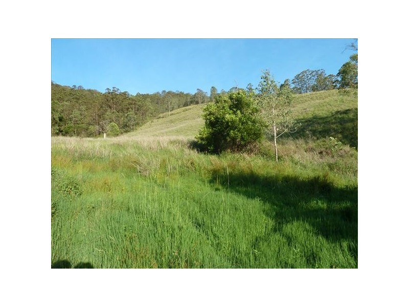 390 Fawcetts Plains Road, Kyogle NSW 2474