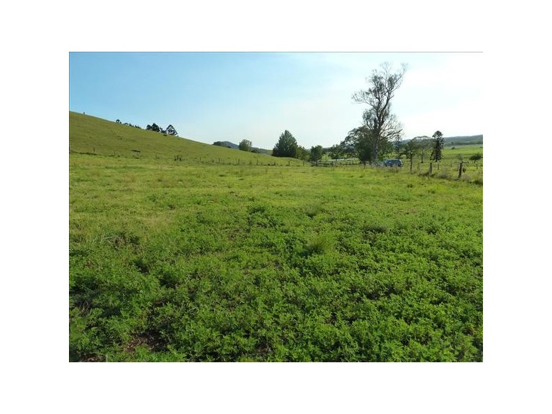 390 Fawcetts Plains Road, Kyogle NSW 2474