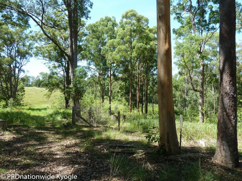 16404 Clarence Way, Old Bonalbo NSW 2469