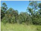 16404 Clarence Way, Old Bonalbo NSW 2469