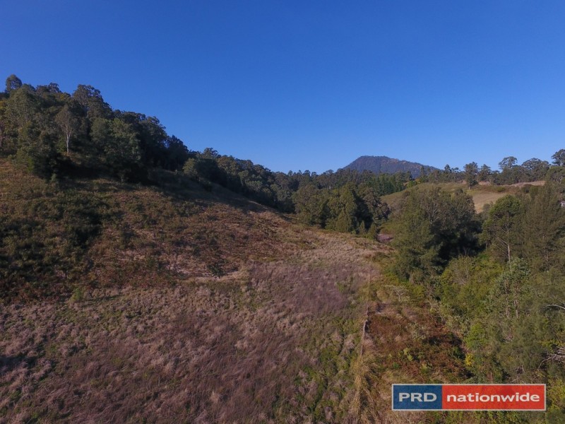879 Gradys Creek Road, Kyogle NSW 2474
