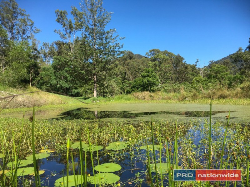 1101 Roseberry Creek Road, Kyogle NSW 2474