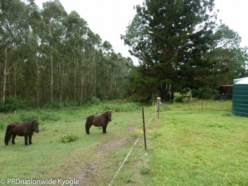 97 Carruthers Road, Kyogle NSW 2474