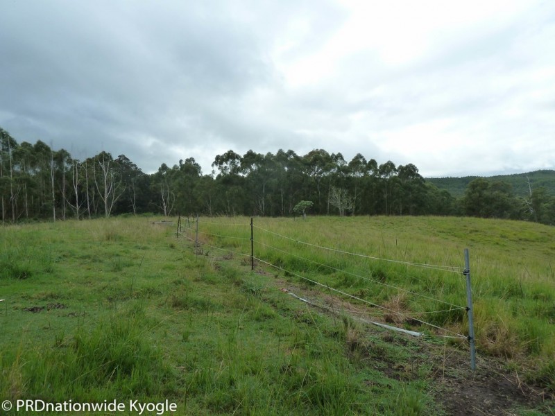 97 Carruthers Road, Kyogle NSW 2474