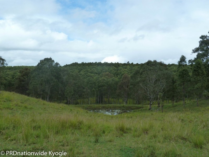 97 Carruthers Road, Kyogle NSW 2474