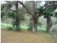 97 Carruthers Road, Kyogle NSW 2474