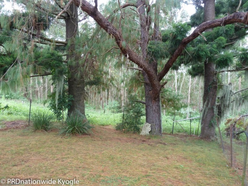 97 Carruthers Road, Kyogle NSW 2474
