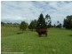 306 Summerland Way, Kyogle NSW 2474