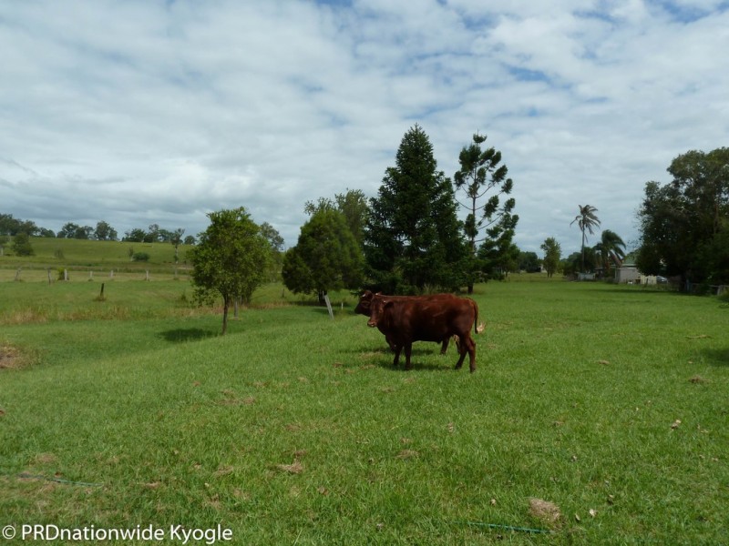 306 Summerland Way, Kyogle NSW 2474