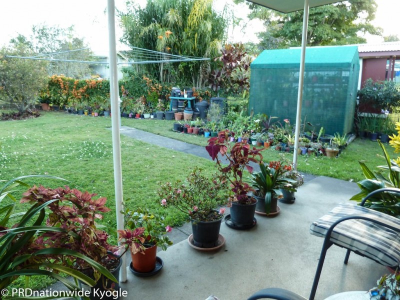 31 Marwick Street, Kyogle NSW 2474