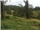 781 Upper Eden Creek Road, Eden Creek via, Kyogle NSW 2474