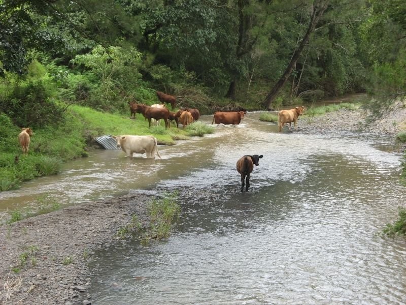 781 Upper Eden Creek Road, Eden Creek via, Kyogle NSW 2474