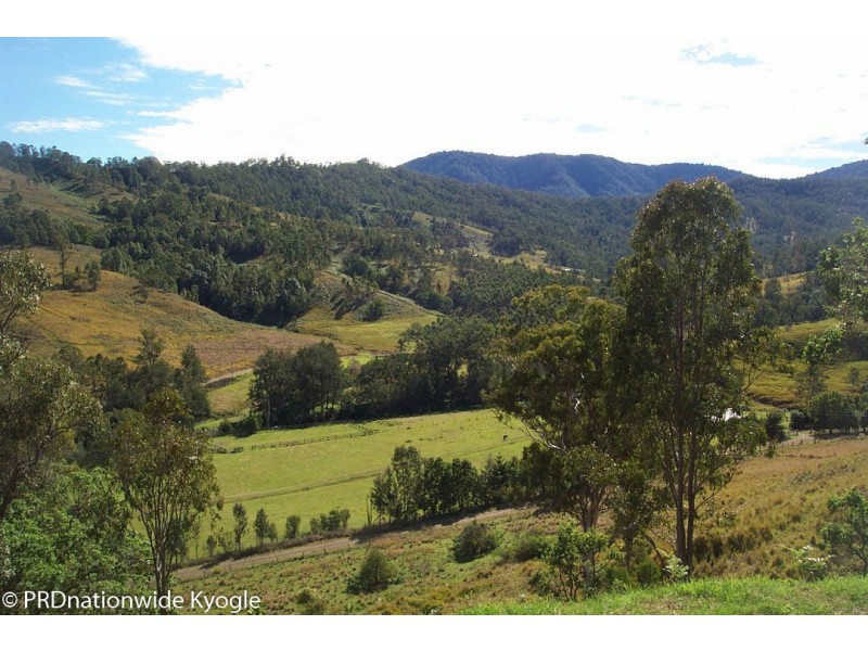 Lot 46 Tree Fern Road, Loadstone via, Kyogle NSW 2474