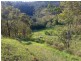 Lot 46 Tree Fern Road, Loadstone via, Kyogle NSW 2474