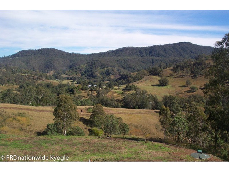 Lot 42 Tree Fern Road Loadstone, Kyogle NSW 2474